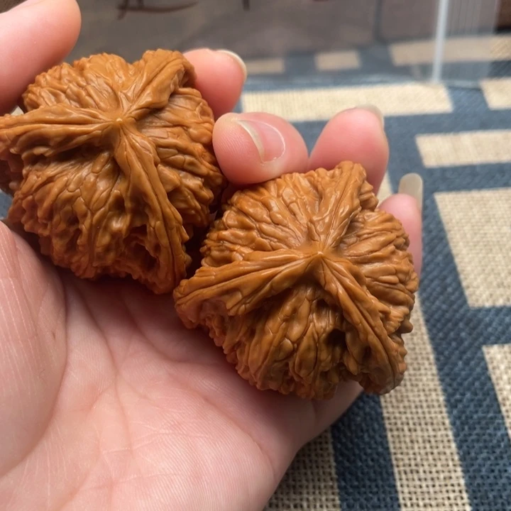 自***。核桃白狮子44核桃