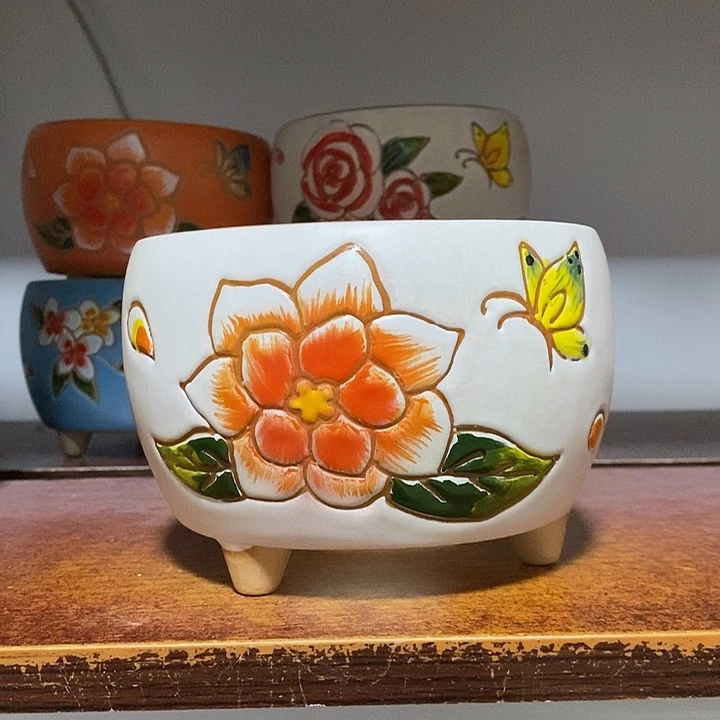 韩式多肉植物花盆