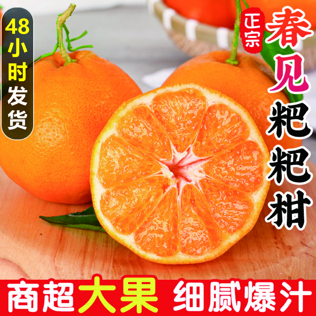 四川春见耙耙柑正宗新鲜水果当季丑粑粑八怪桔