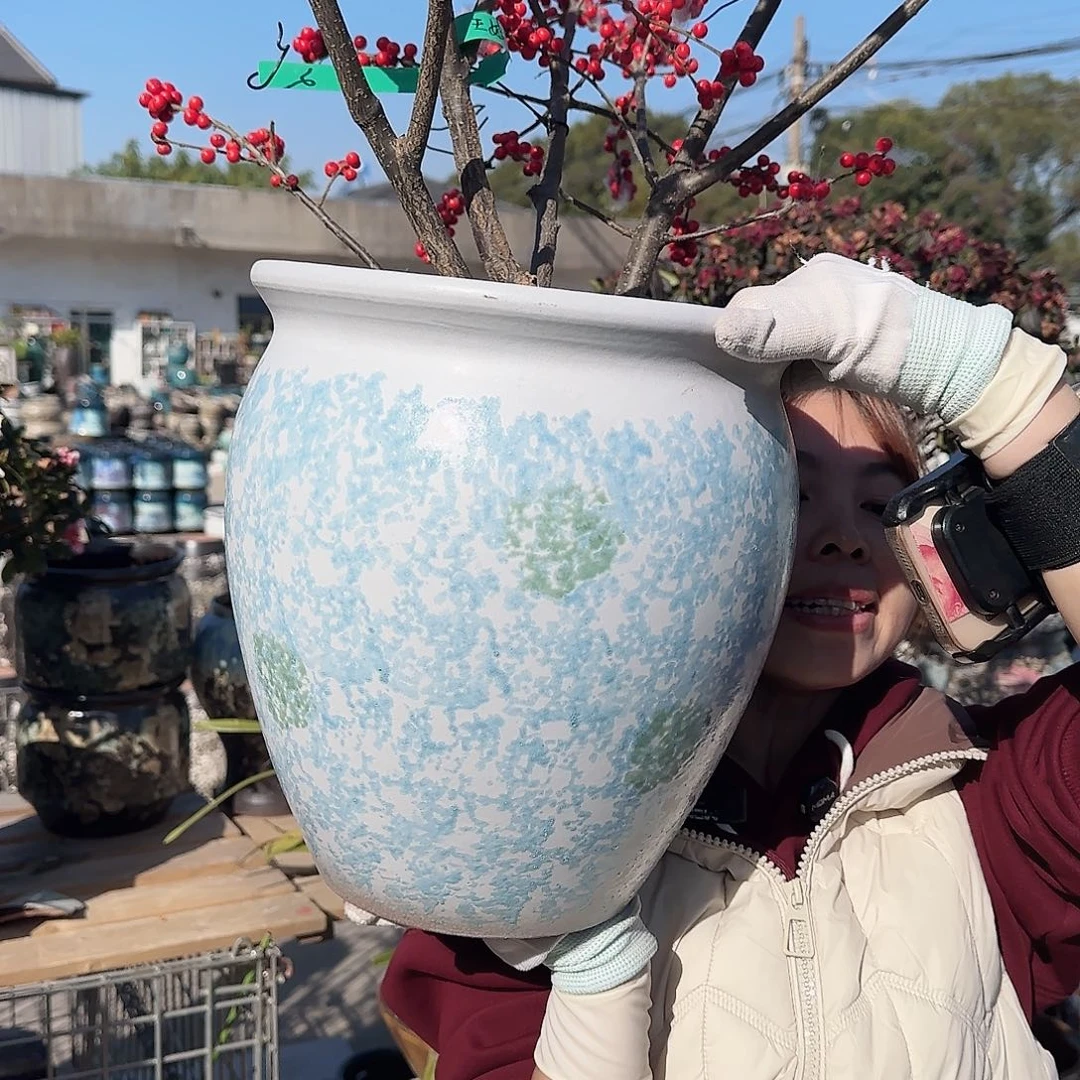 王嫂花盆直播1126-471高30口28