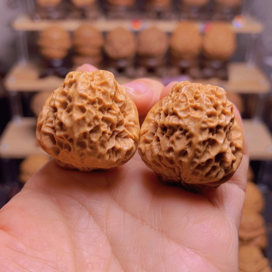 文玩核桃吊坠65w珊瑚纹蛤蟆头39尺