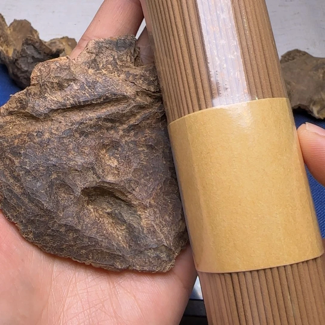 海南尖峰岭老包头10克重福利