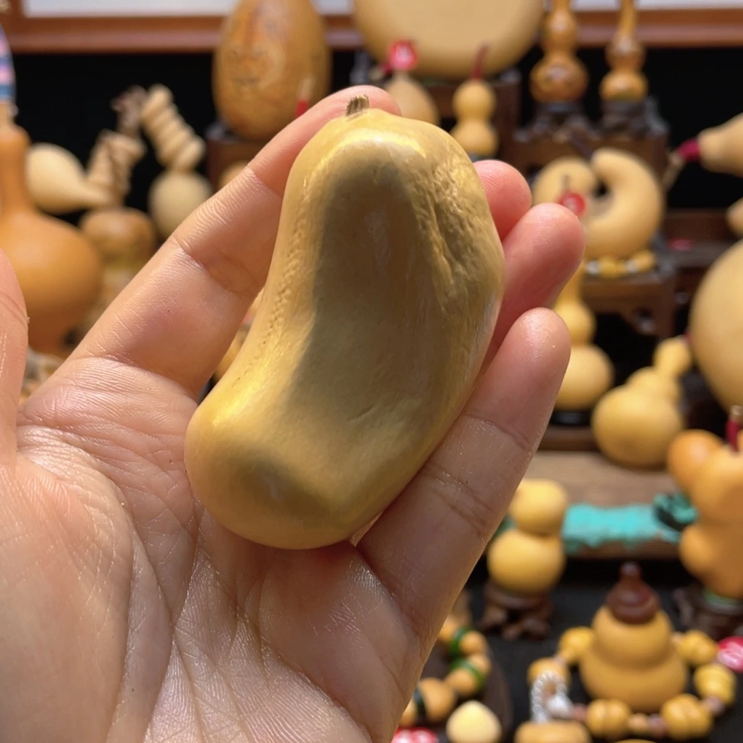 末*大自然的秘密第十一节的