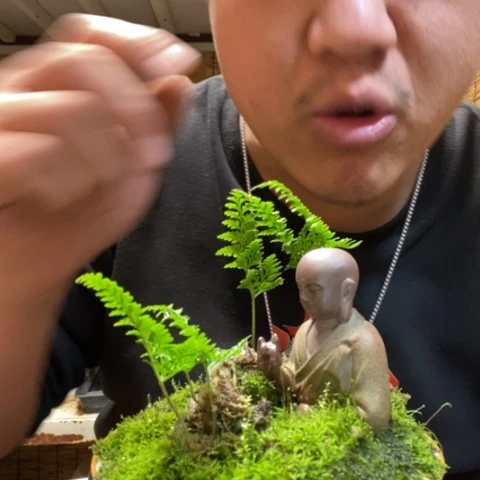 红陶亮*一物一拍所见即所得134