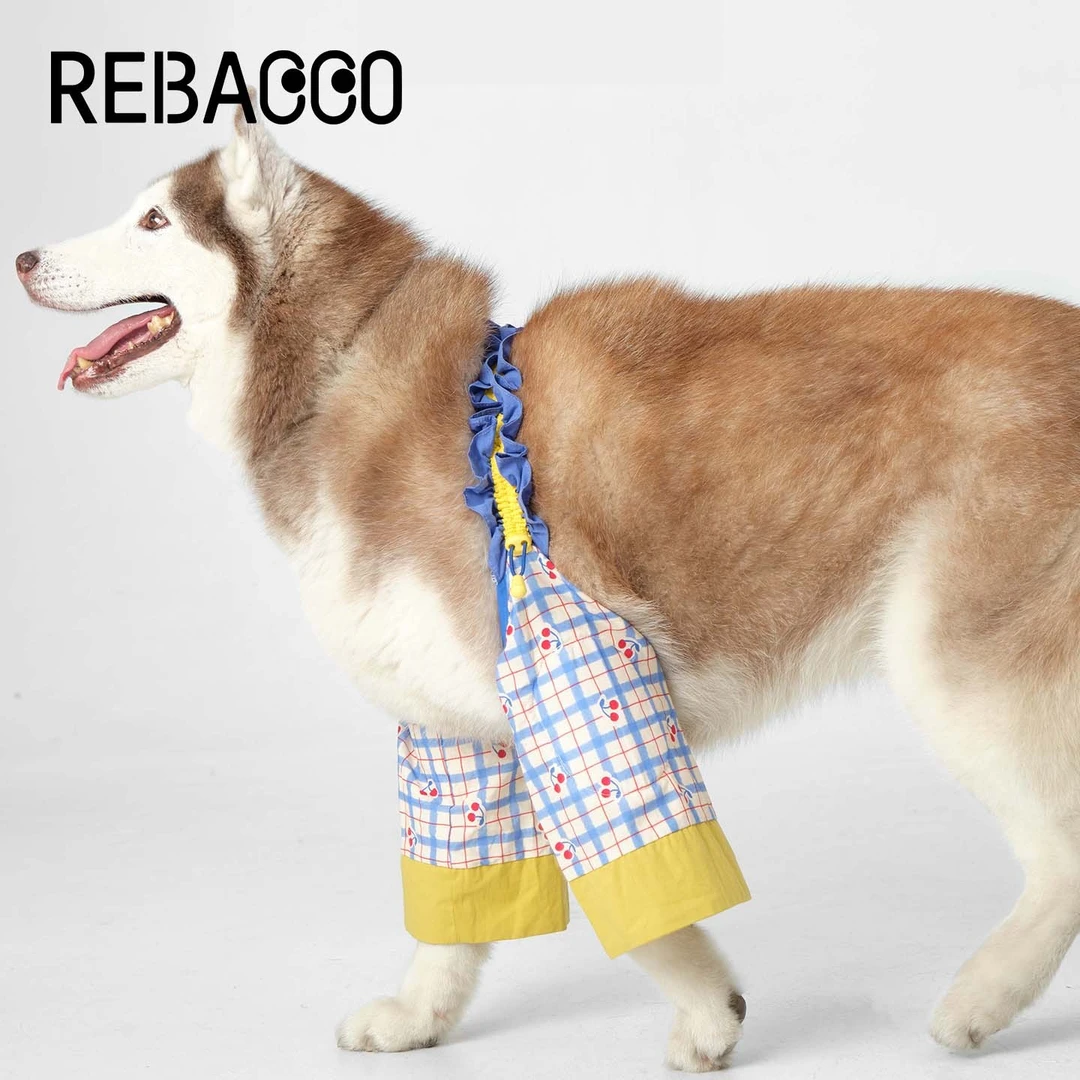 瑞巴客狗狗护肘衣关节保护套大型犬护膝防脏神器宠物衣服四季通用