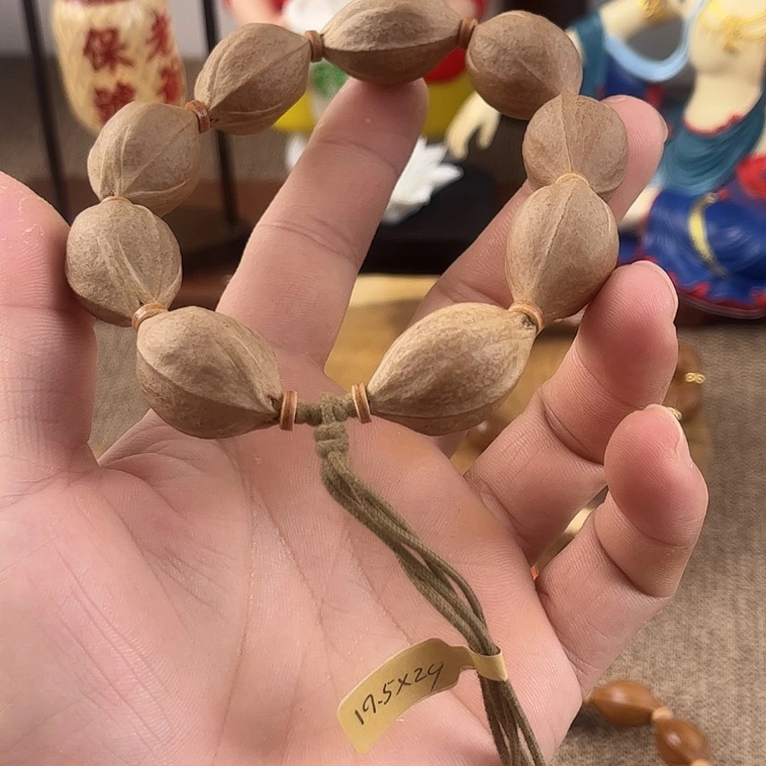 手串橄榄核鲨鱼背