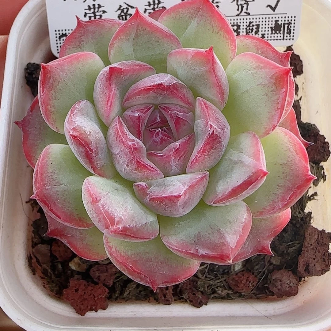 1107----151福利福利