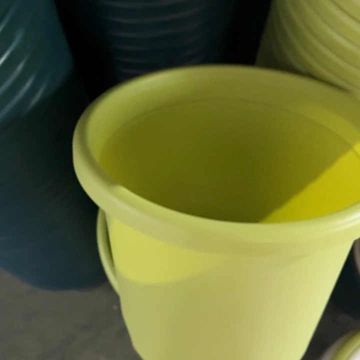 四季4号果绿无托10个特价