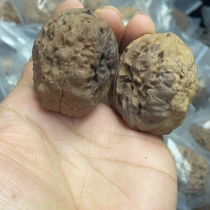 木质类云南铁核桃+3