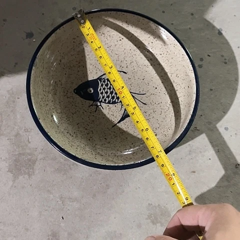 微瑕，不能明火，口径18，高5，2个日本鱼