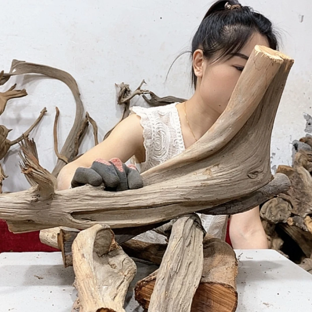 【闪购商品】柏木手****3我们都是好孩子啊