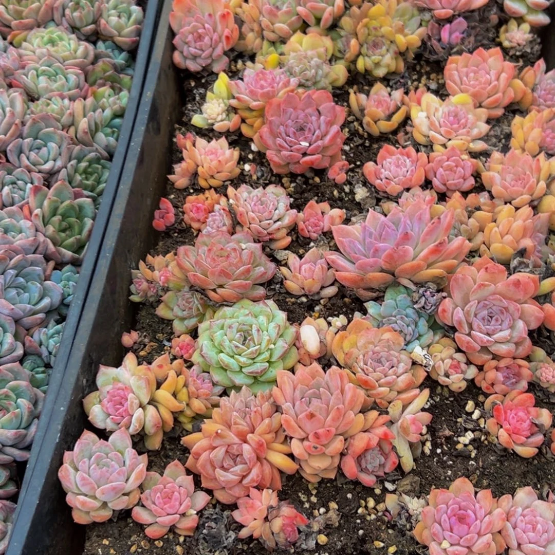 644点燃希望之光吧