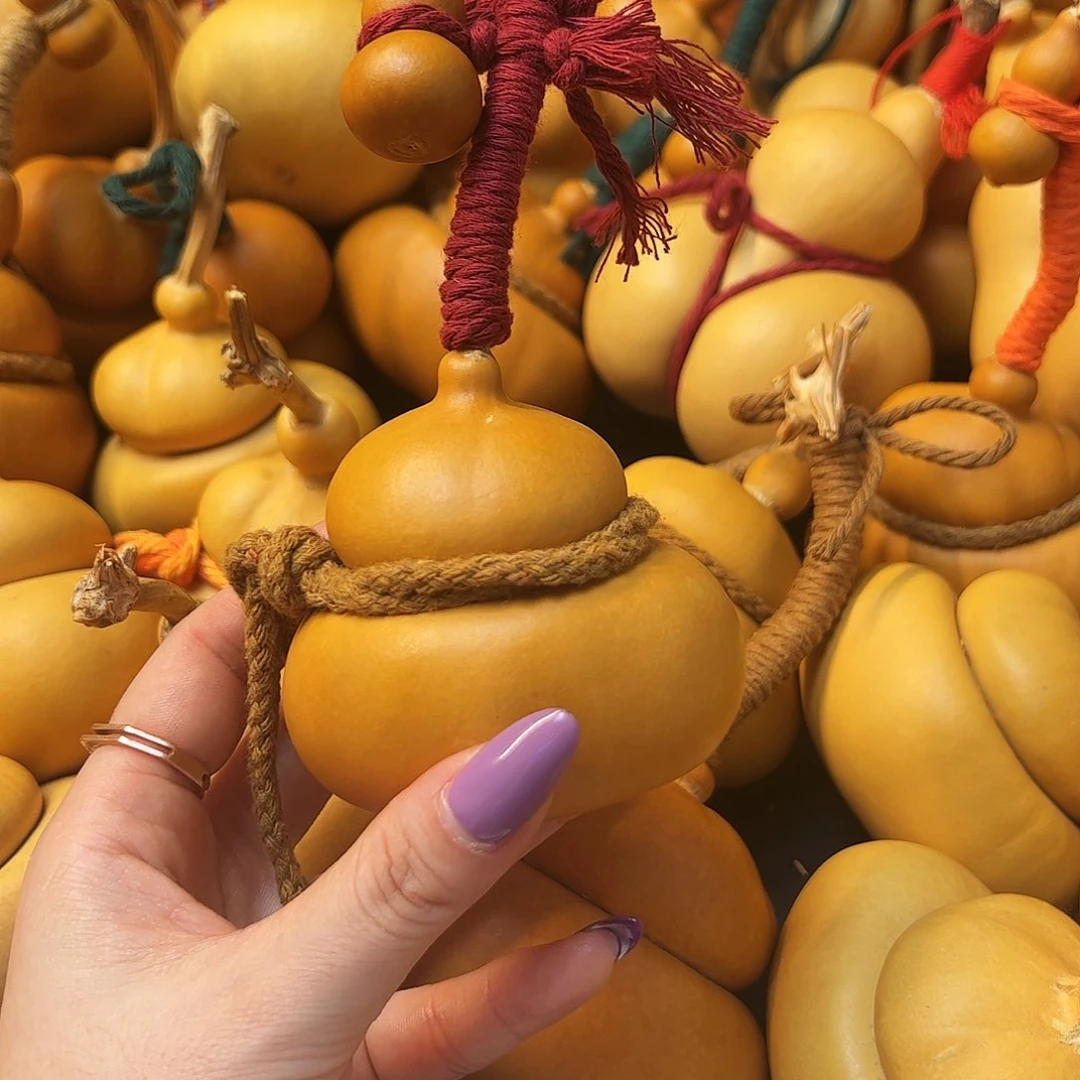 w****e老皮钱袋子➕草里金