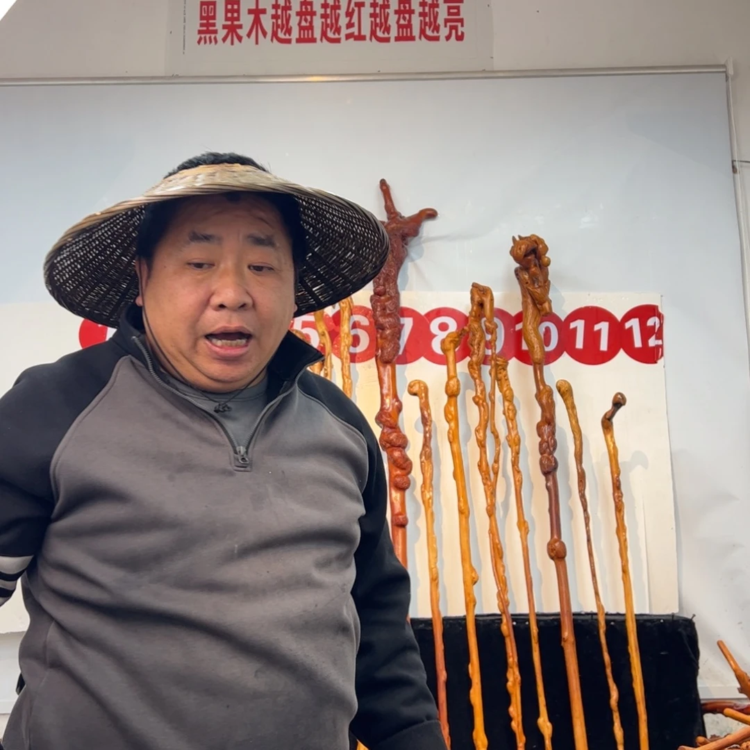 宝***峰黑果木其他黑果木786