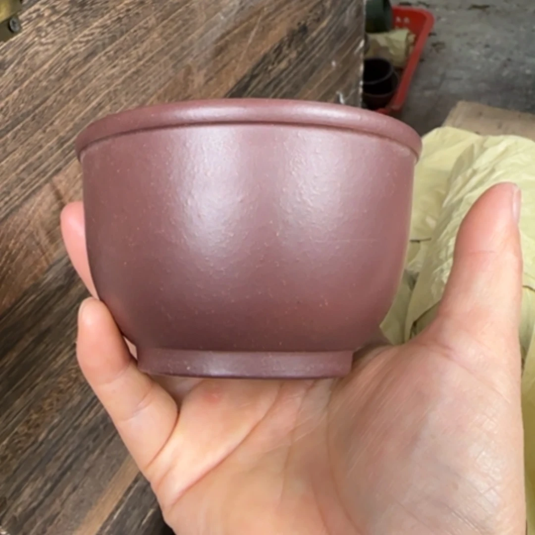 【闪购商品】茶杯紫砂紫砂茶具