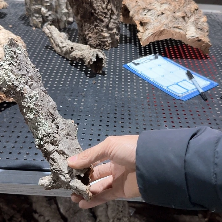 三***七完全开放一物一拍一物一发