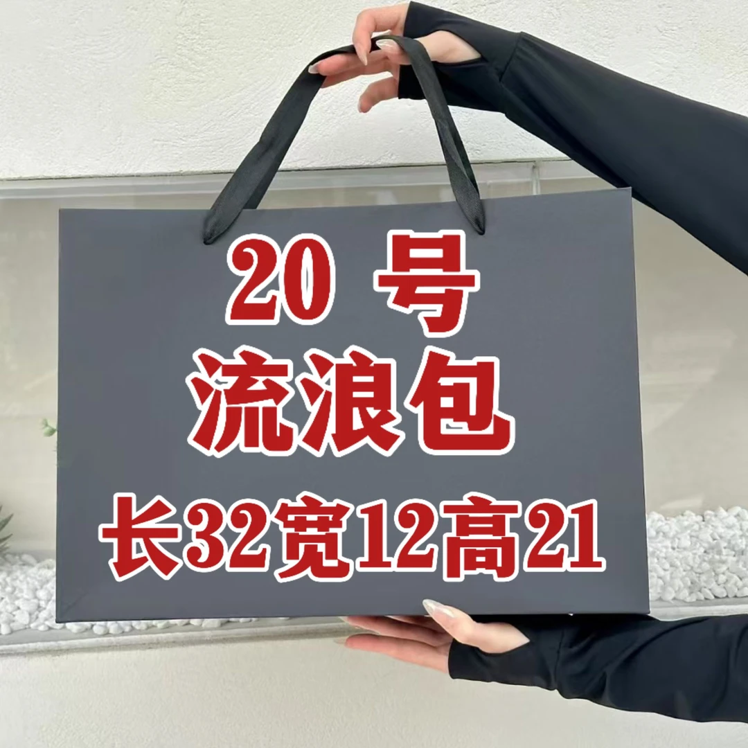 Q(20号）经典轻奢时尚气质百搭单肩斜跨流浪包