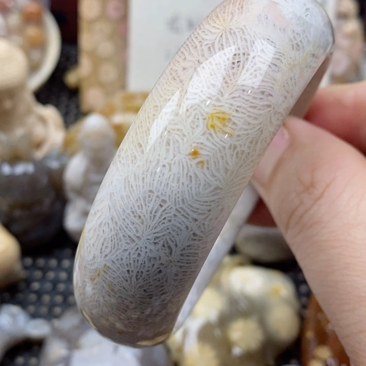 颈饰未镶嵌硅化珊瑚（珊瑚玉）
