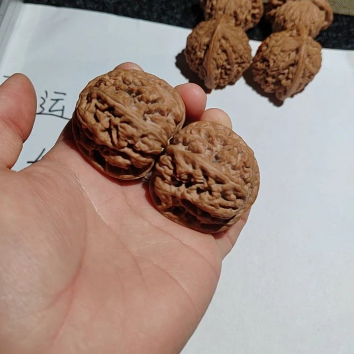 吊坠龙脊菩提粗筋
