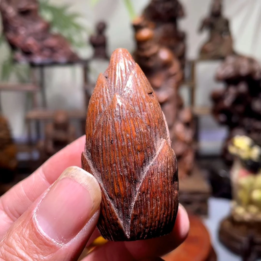 竹热闹矛盾问题不大