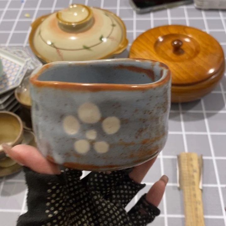 在这个充满生机又神秘美丽