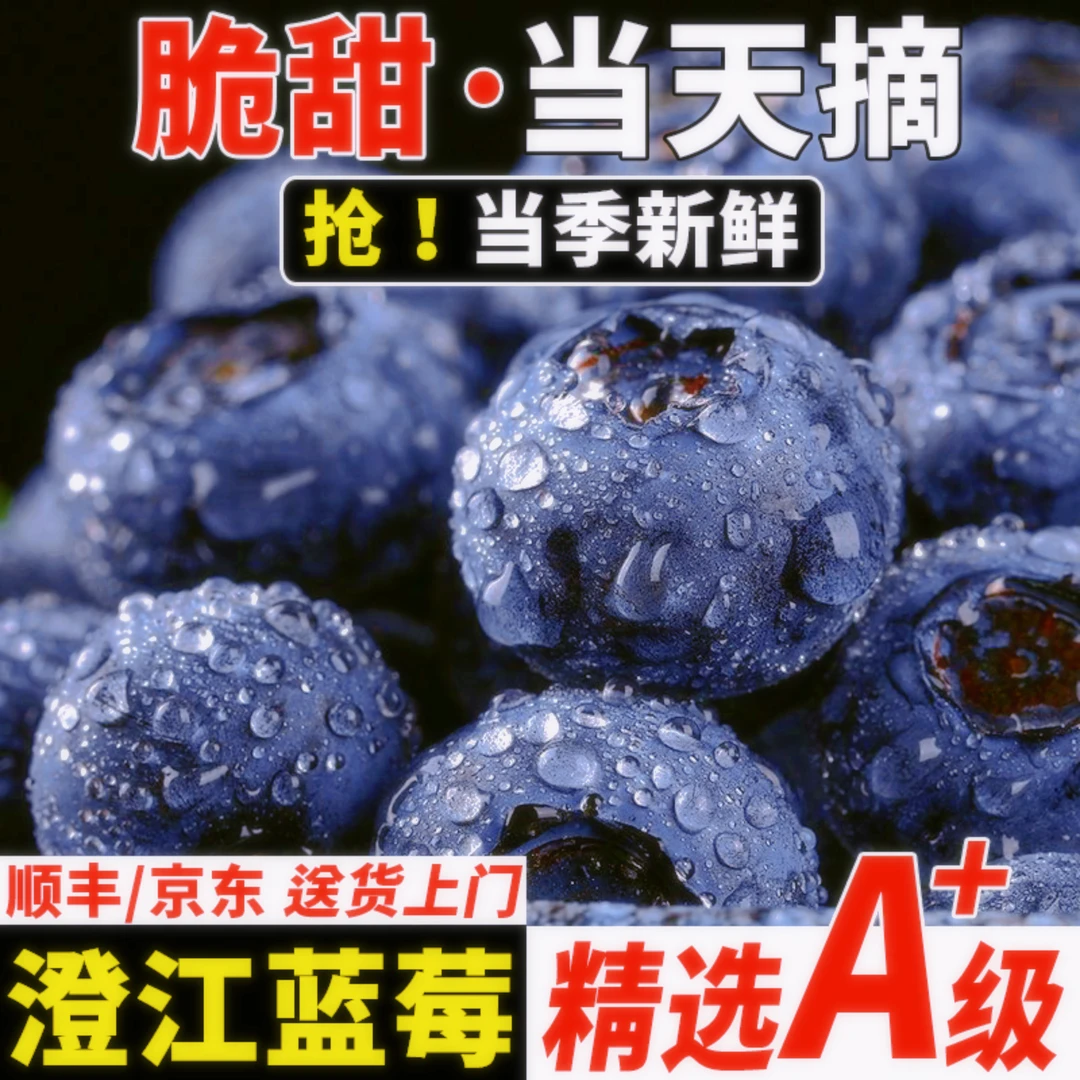 【花香蓝莓CJ25】云南澄江新鲜水果特大现摘花香脆甜顺丰京东包邮