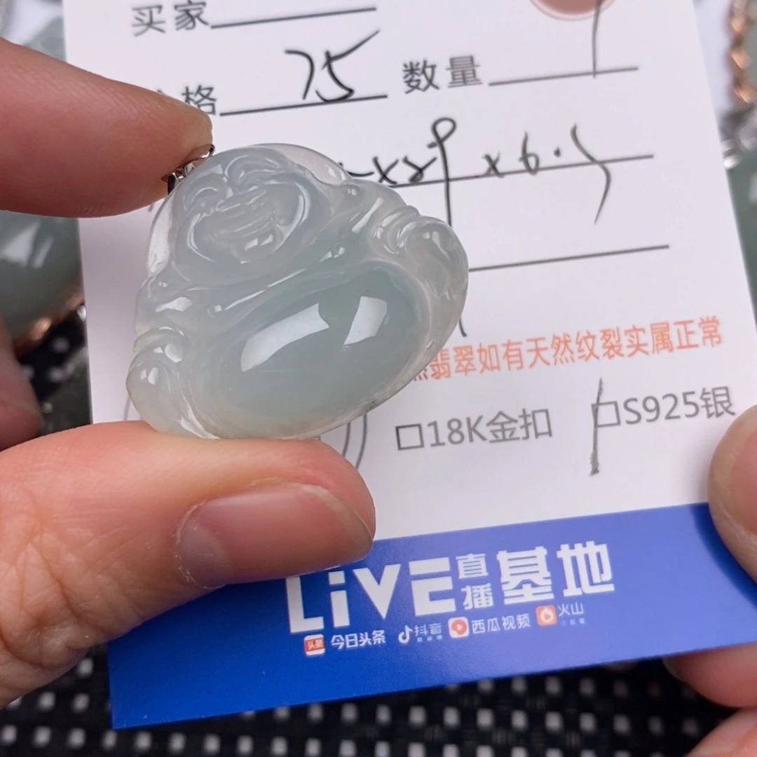 翡翠银S925镶嵌颈饰