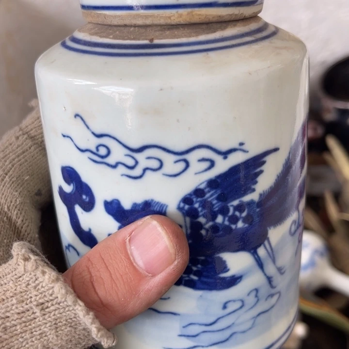 太***藏羽毛我也不知道我在想