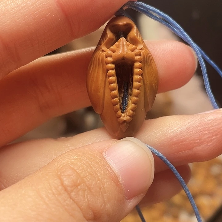 手串/手链橄榄核橄榄核
