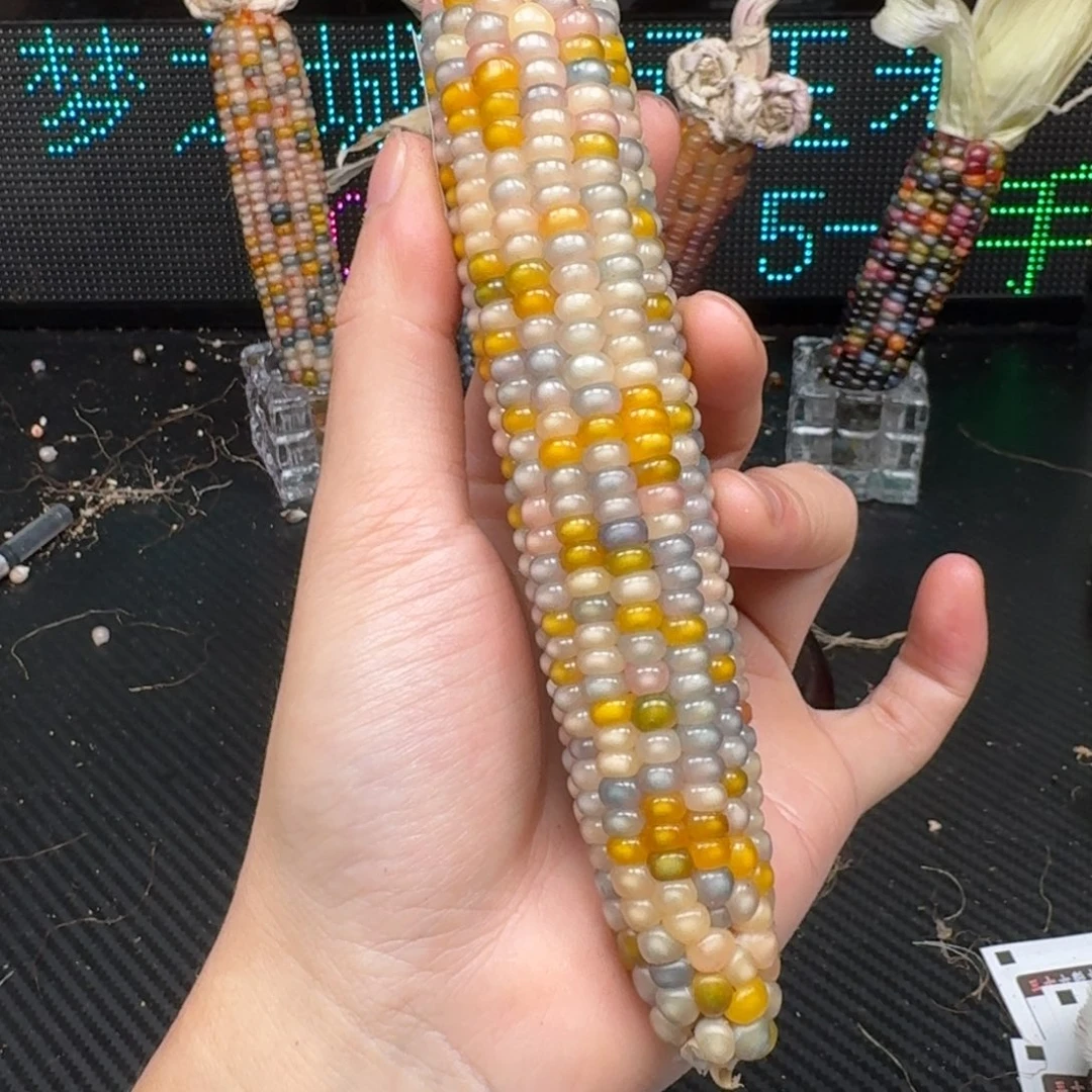 柏香籽/百香籽吊坠?****鱼