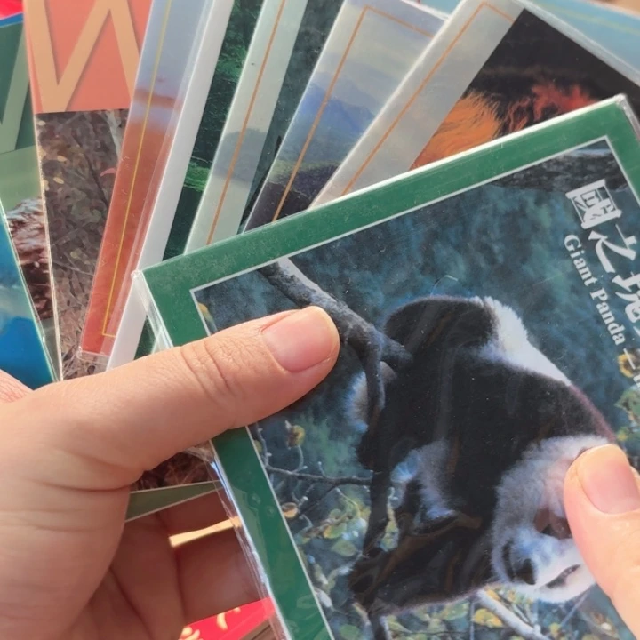 其他普通金属动物，套装10本，套装