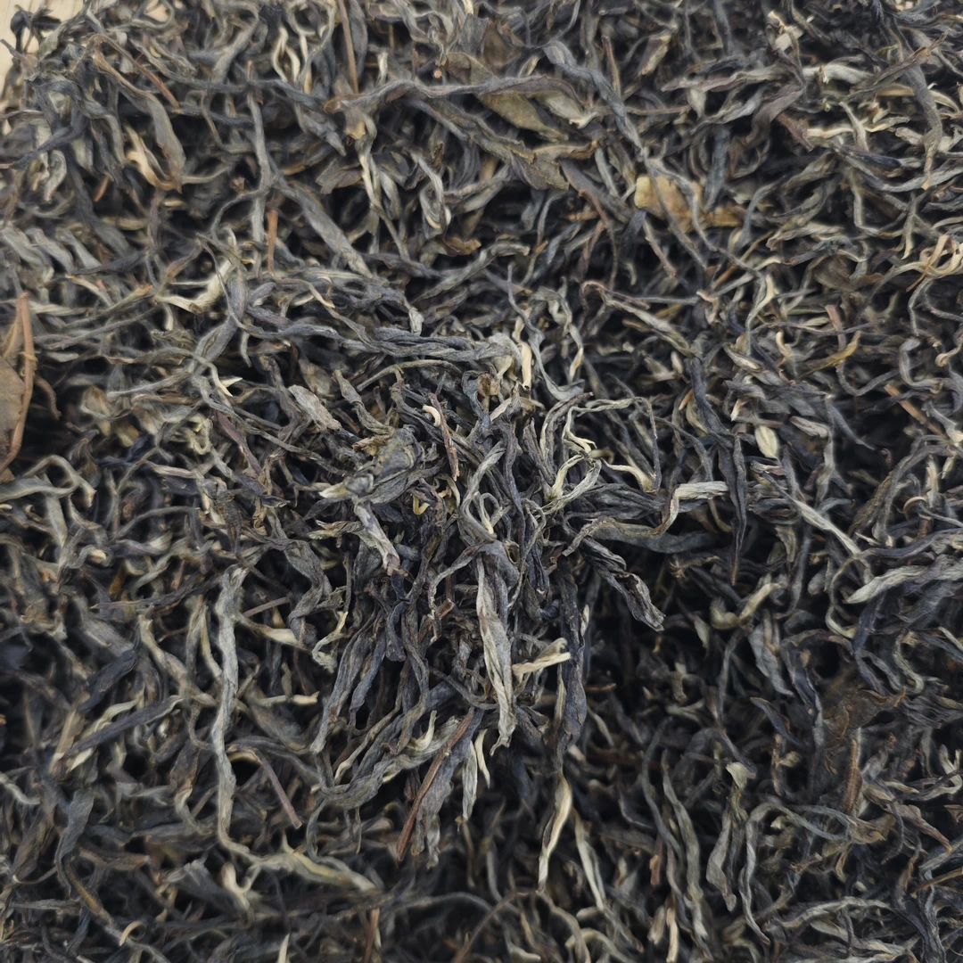 【茶农直供】2024年曼夕古树单株  云南普洱茶 生茶 、散茶