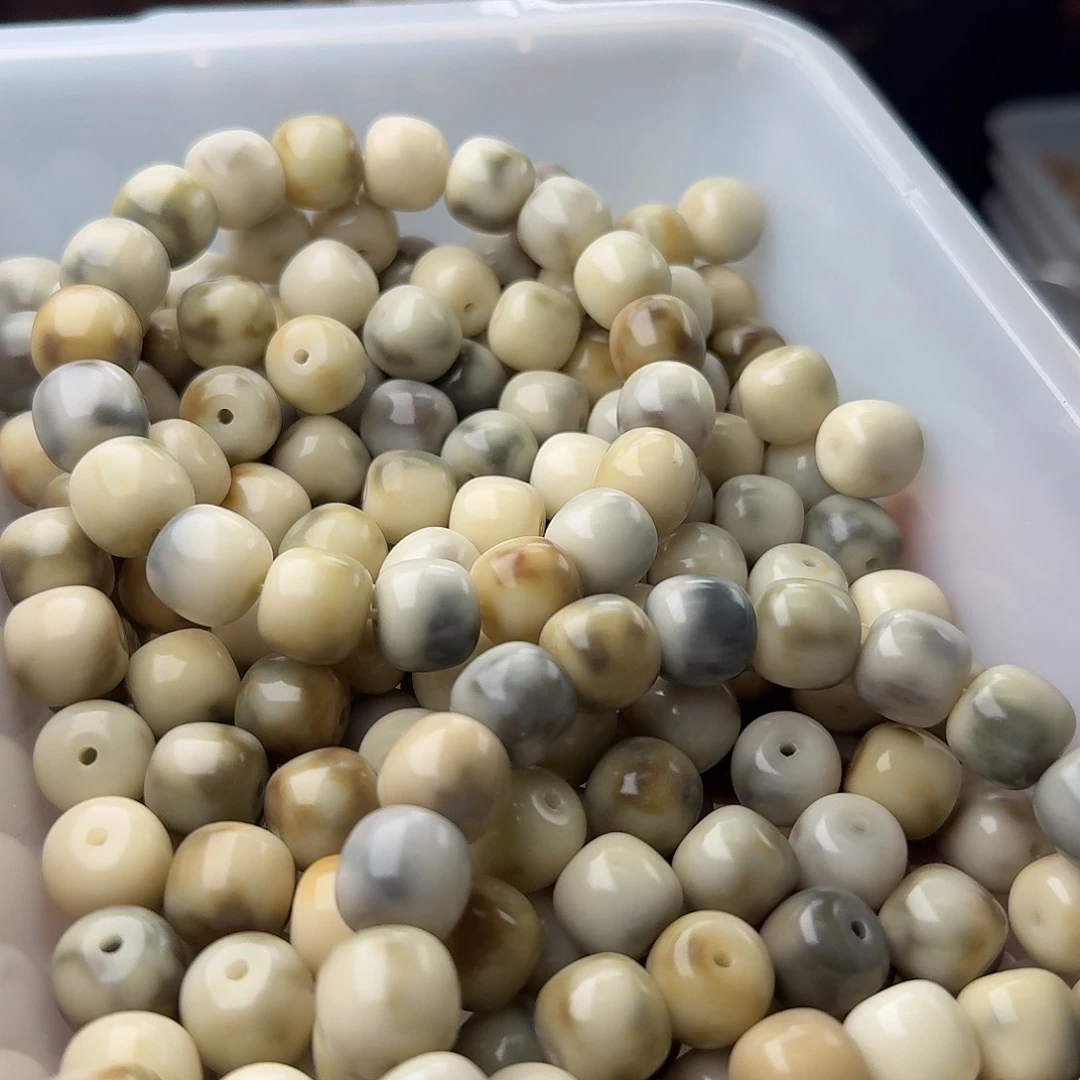 吊坠菩提根/象牙果50 颗霉豆腐 13 骨瓷桶