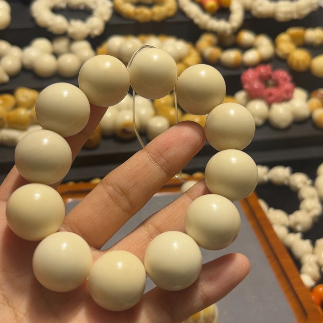 吊坠菩提根/象牙果
