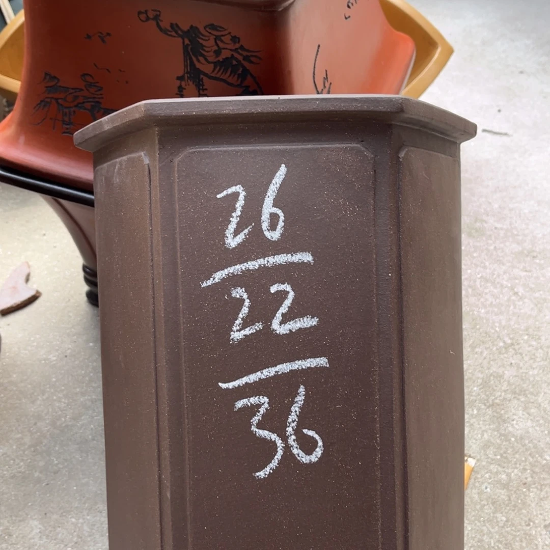 花盆紫砂盆景艺术