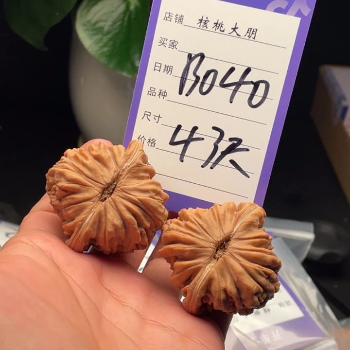 核桃四座楼43尺