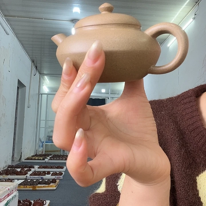 茶壶紫砂紫砂………………