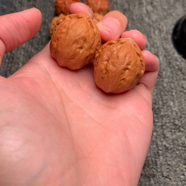 文玩核桃吊坠佛肚。