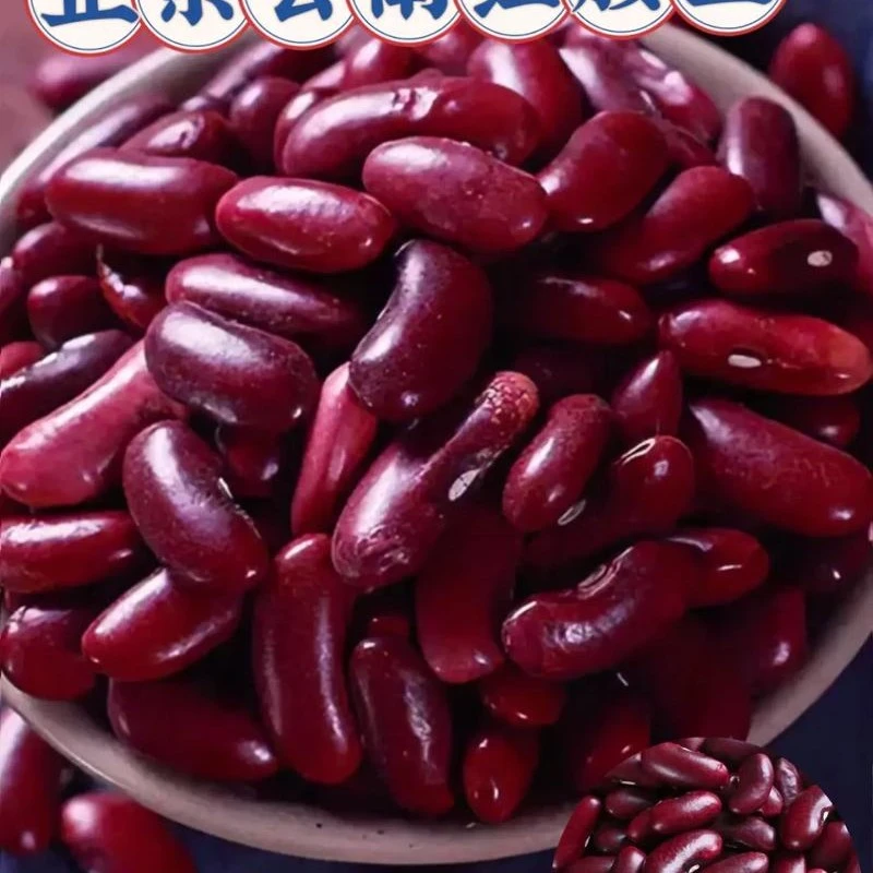 会泽农家 红腰豆