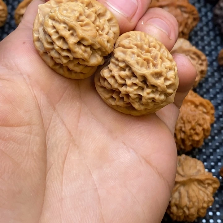 秦岭赵赵文玩 秦闷31小手捻