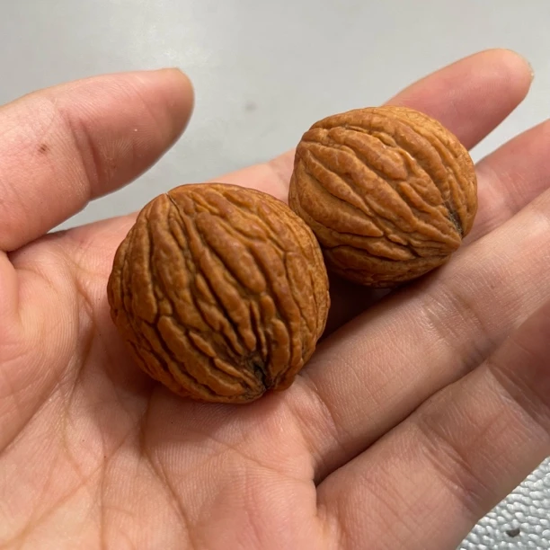 B317猴头核桃一对