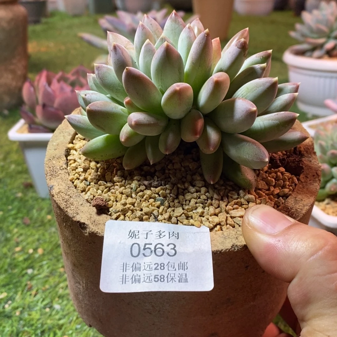0563啊啊啊啊啊啊啊