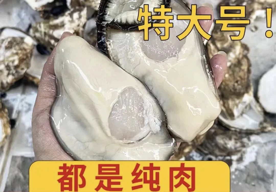 AAA现剥顶大大生蚝肉250克/盒到手9盒 每盒5只左右