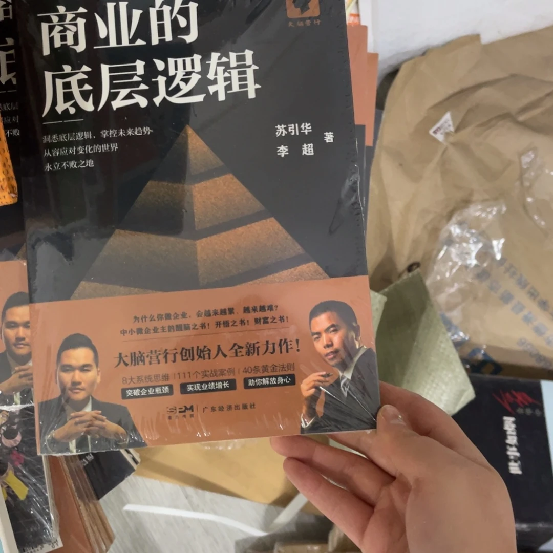 问***鼎商业的底层逻辑啦啊啦啦