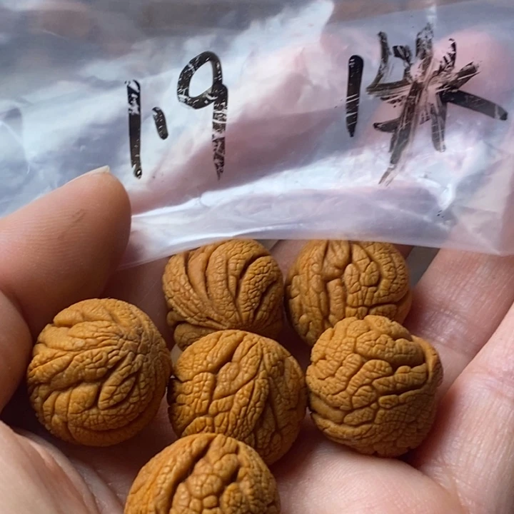 手串文玩核桃秦岭野生龙纹桃核19