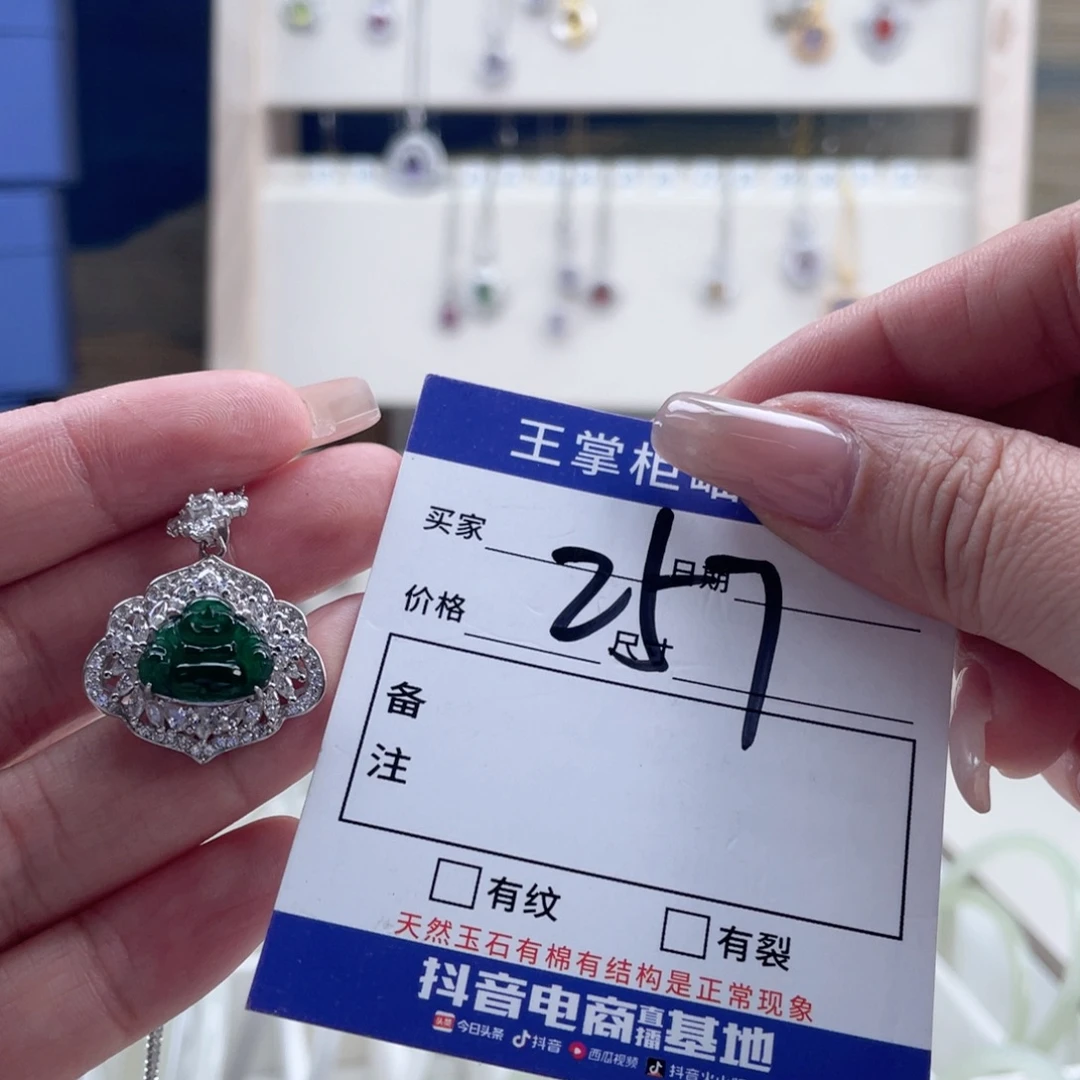 翡翠银S925镶嵌颈饰