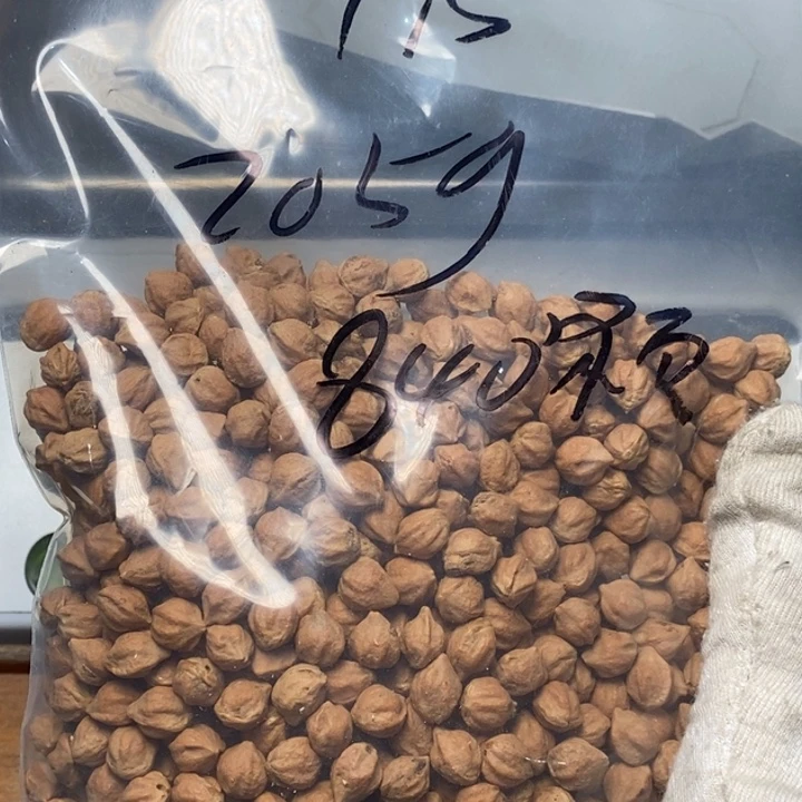 柏香籽/百香籽吊坠