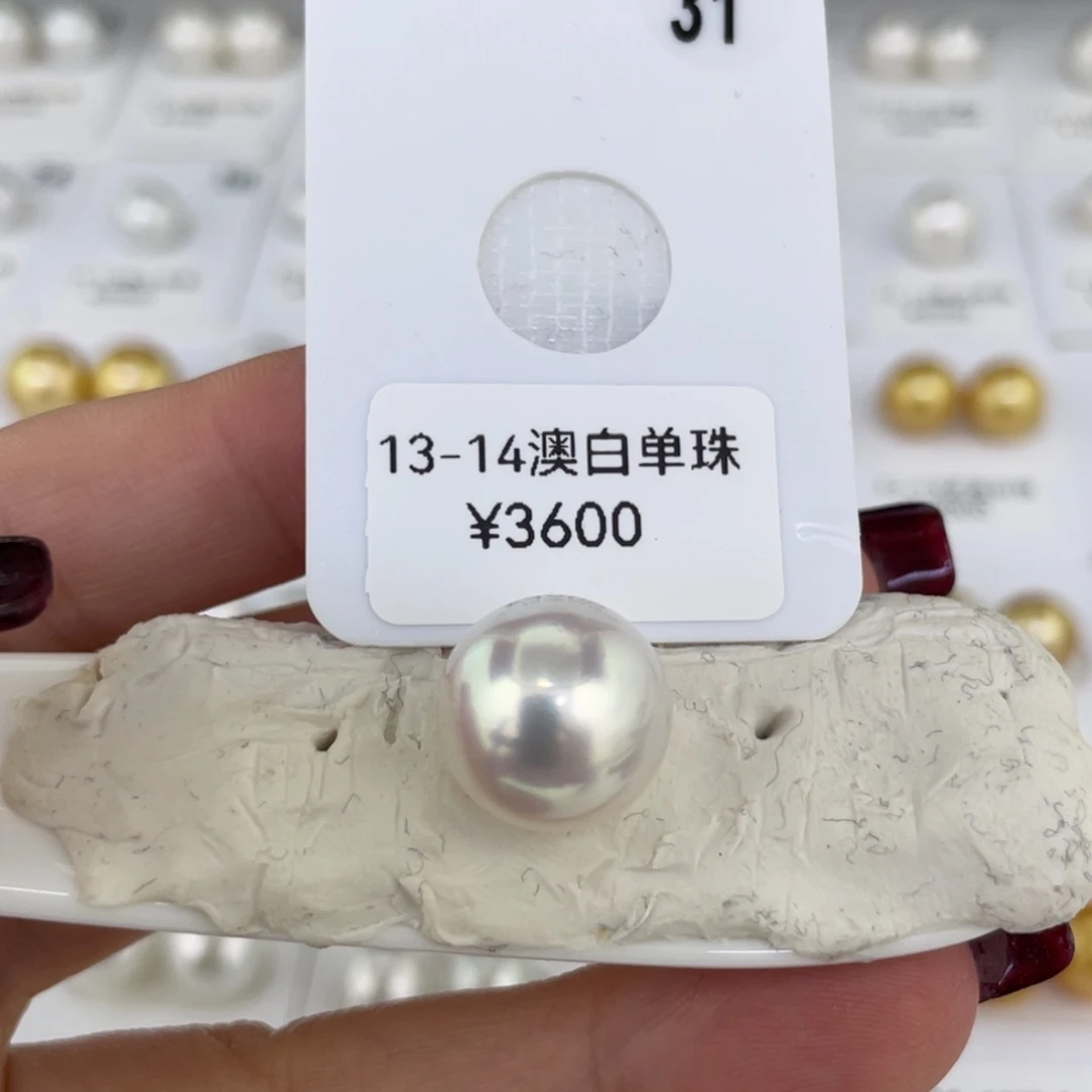 颈饰未镶嵌海水珍珠