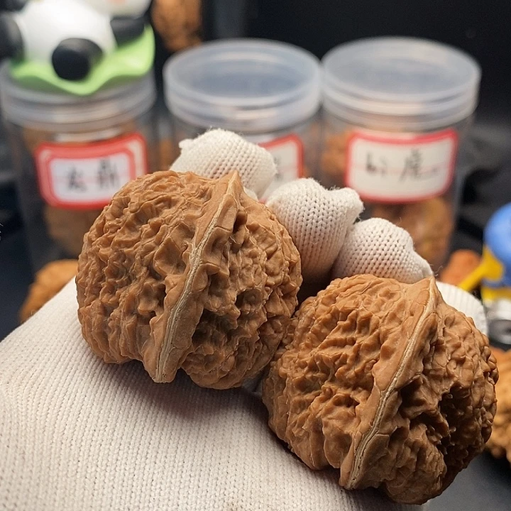 和***尘把件文玩核桃137狮子头