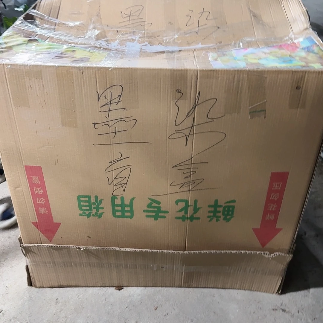 混****无花朵龟背竹一物一拍